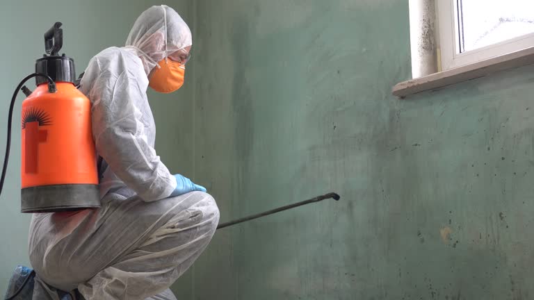 Why You Should Choose Our Mold Remediation Services in Cleveland, TN